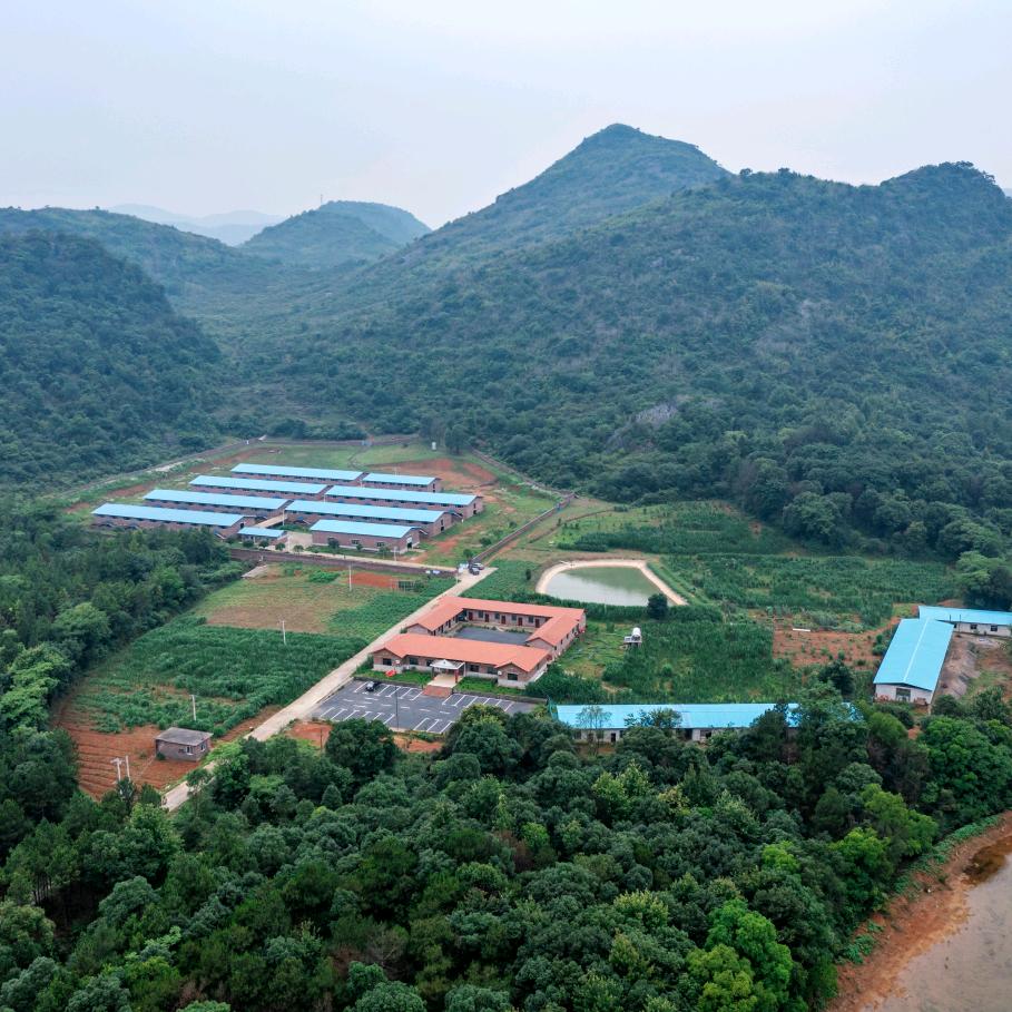 湖南禾福生鲜店