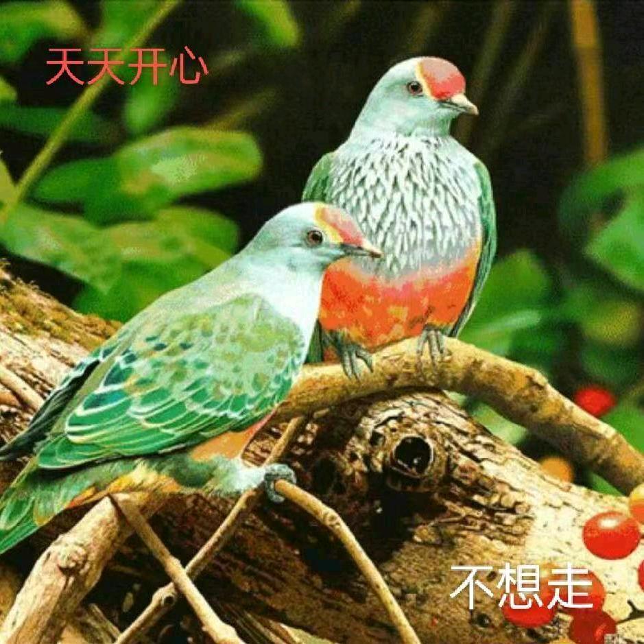 家和寓事兴