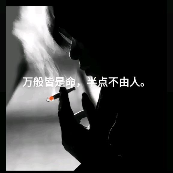 风飞沙