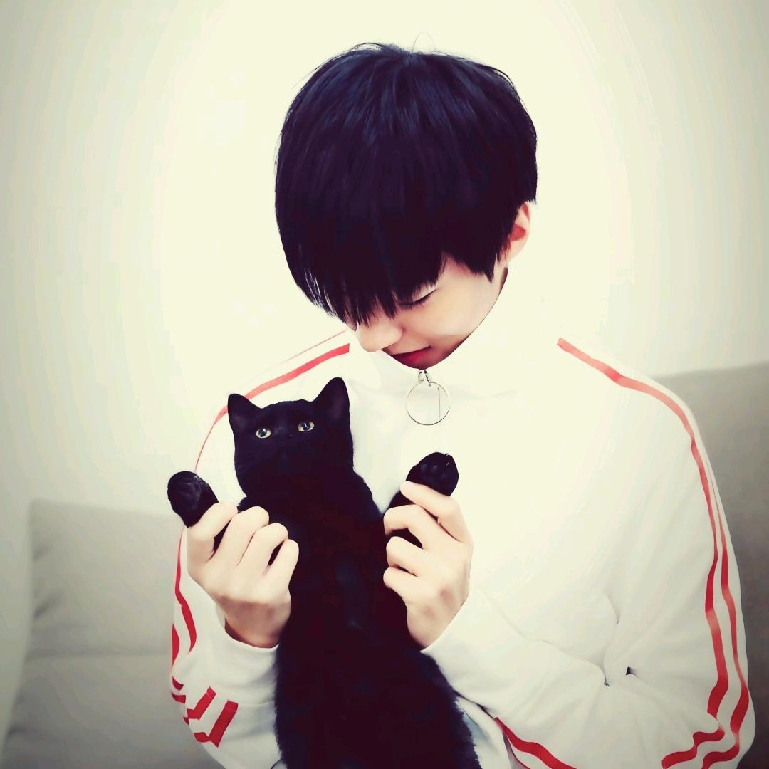 嵩嵩是只猫🐱（抖音别限我流。）