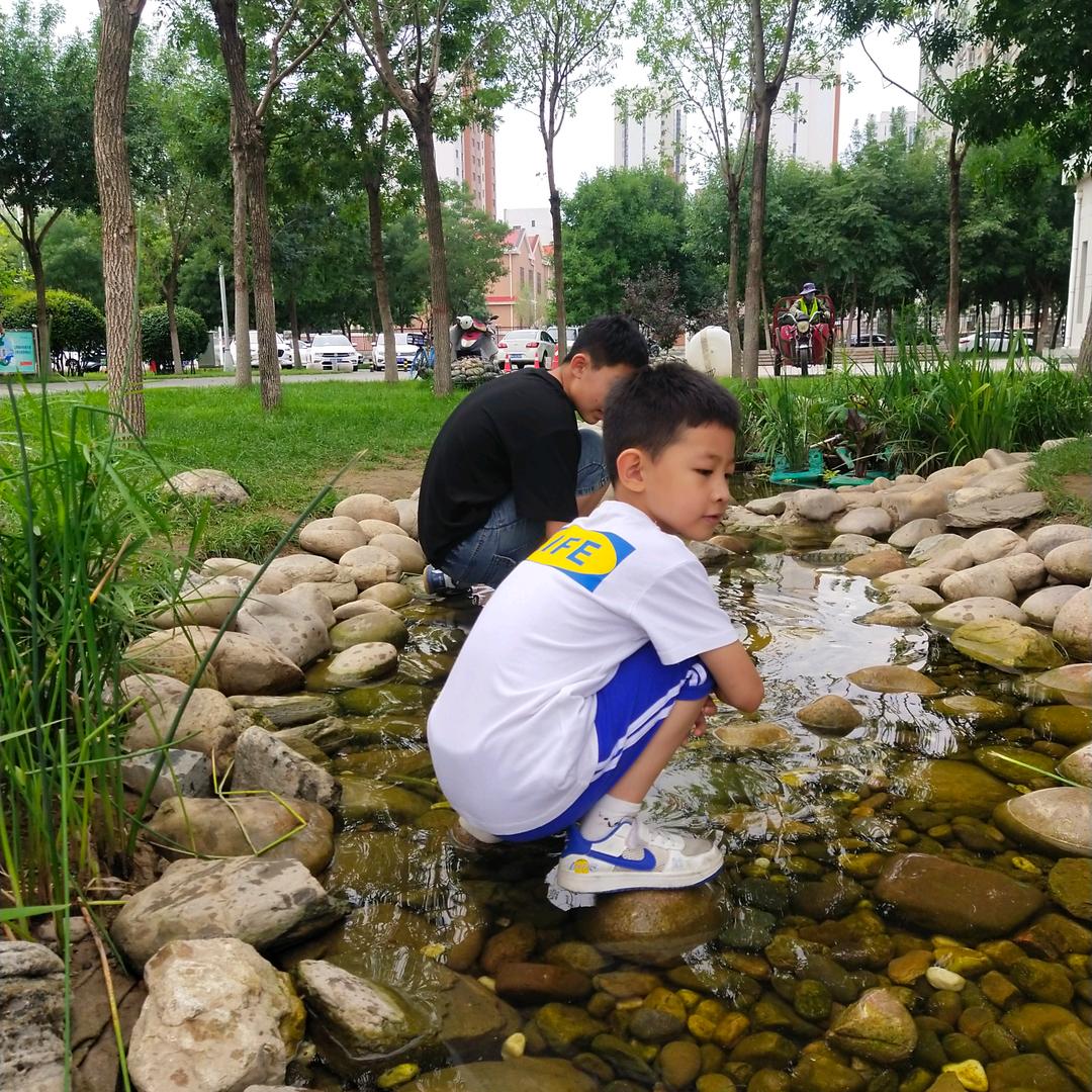 一人带俩娃的燕儿姐