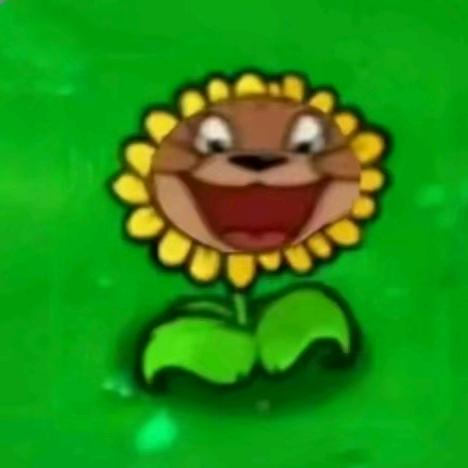 野'