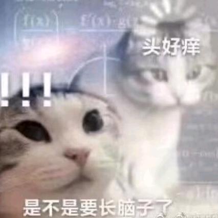 没有名字