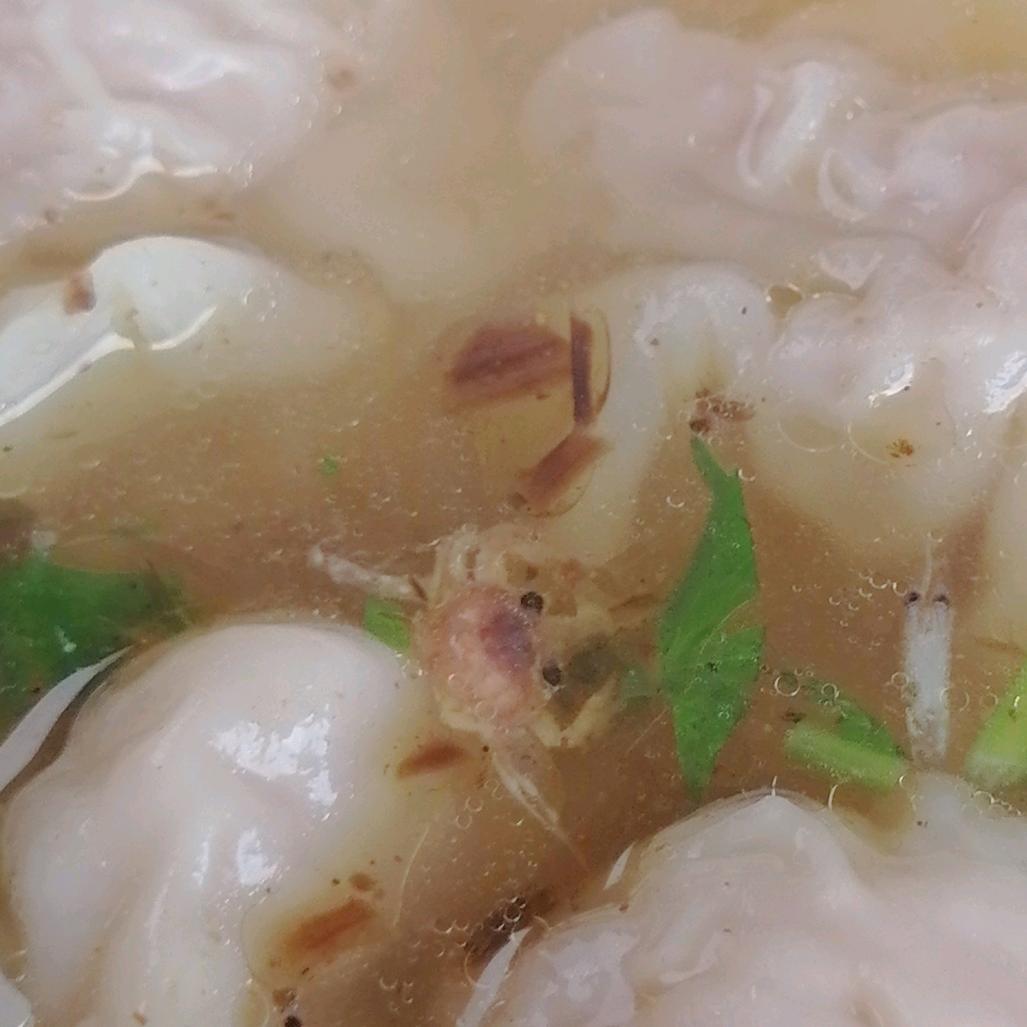 宁静已致远