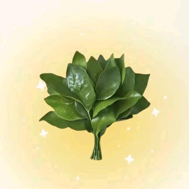 金Dudo
