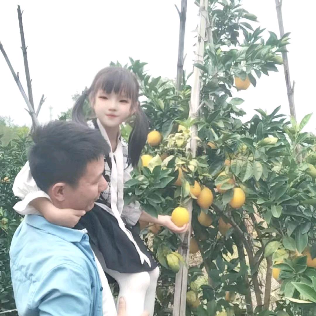 郑再暴富