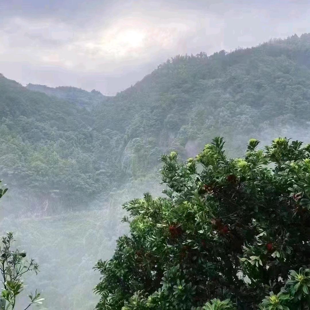仙居县友朋农场