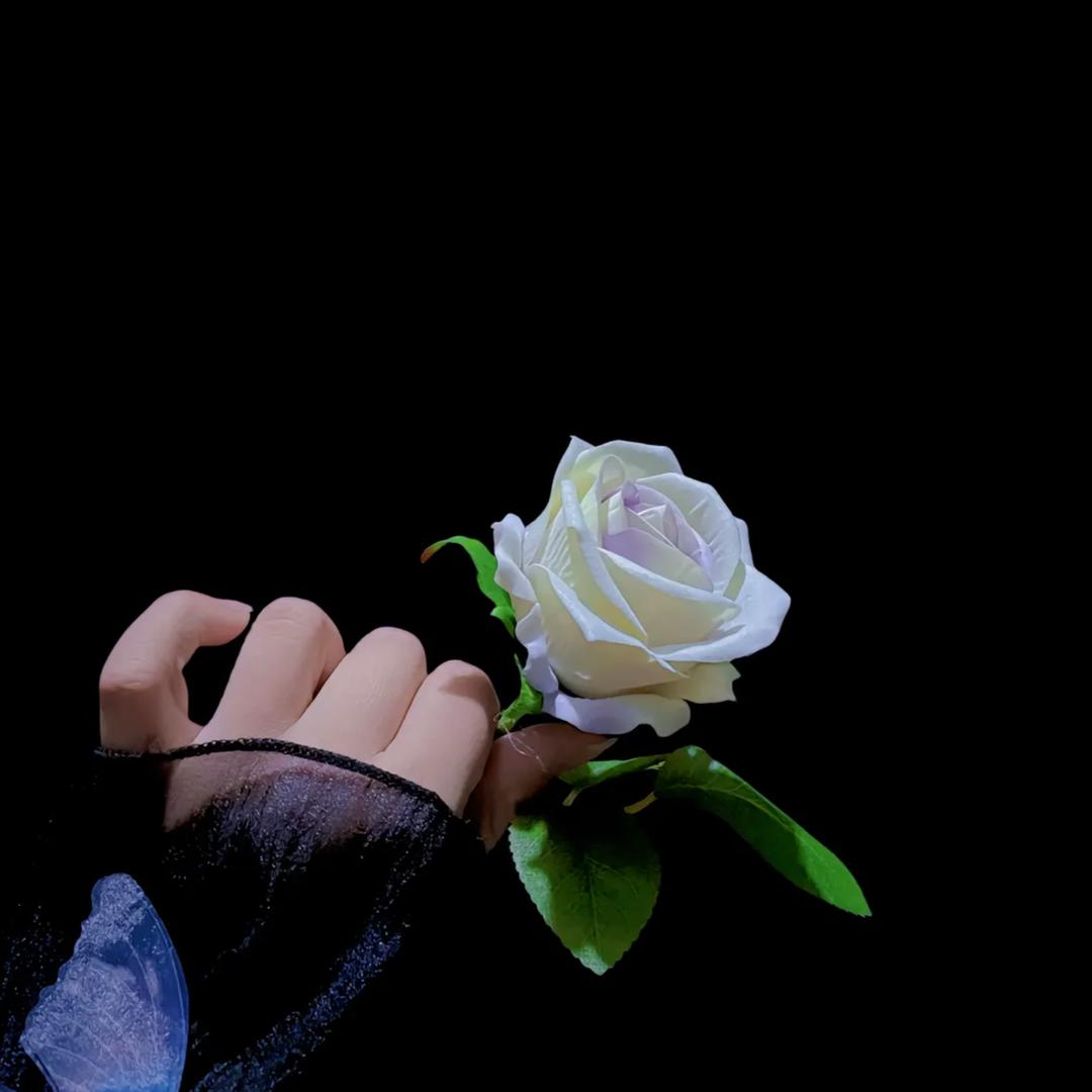 এ᭄缘꧔ꦿ້໌ᮨ⸙²º²³