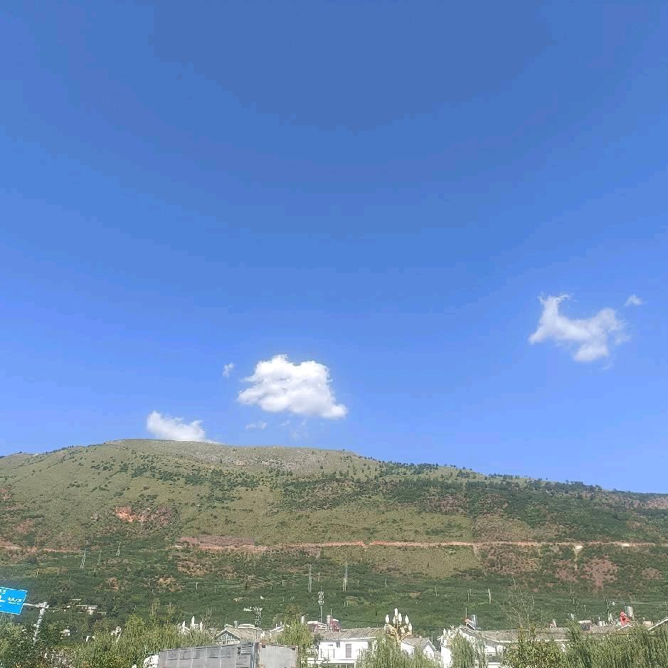 小老大