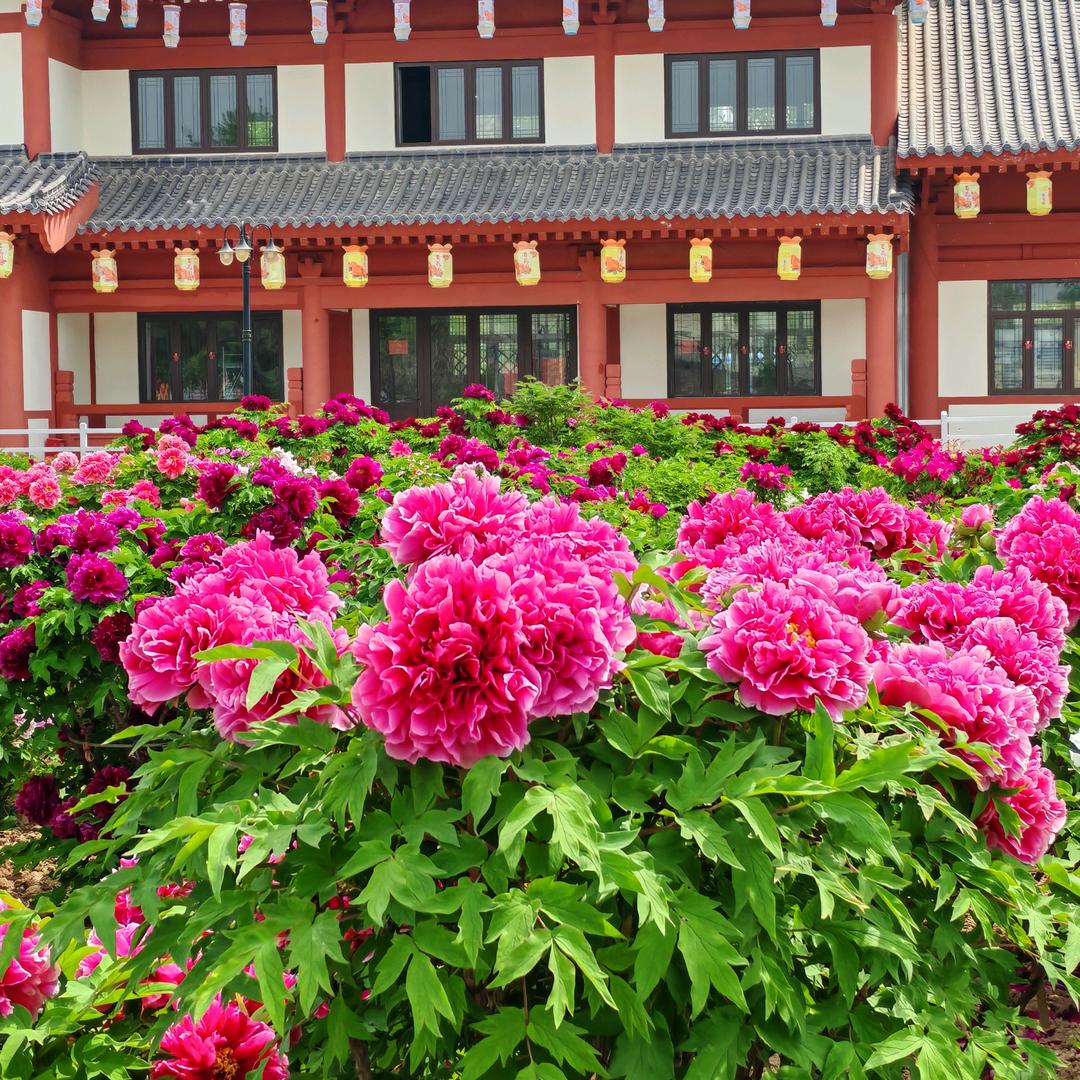 芊芊细雨