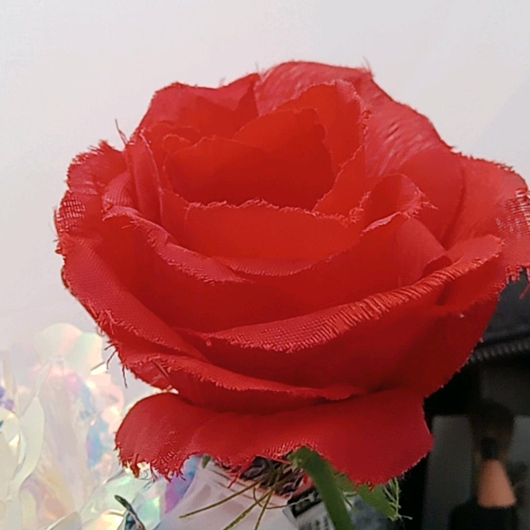 死心塌地的爱错了吗