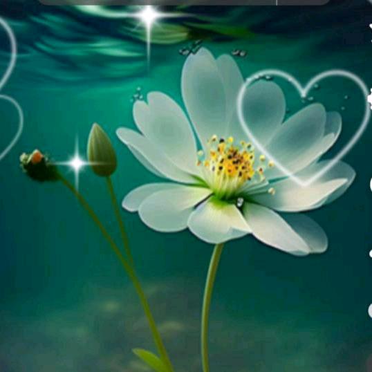 ꧁雪之恋💞 ꧔ꦿ꧂