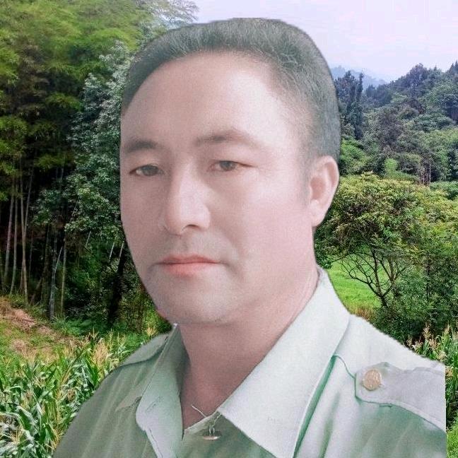 思念哥