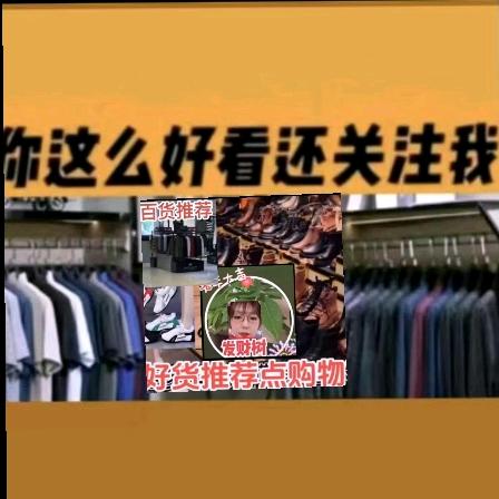 宝珠服装鞋帽百货精选