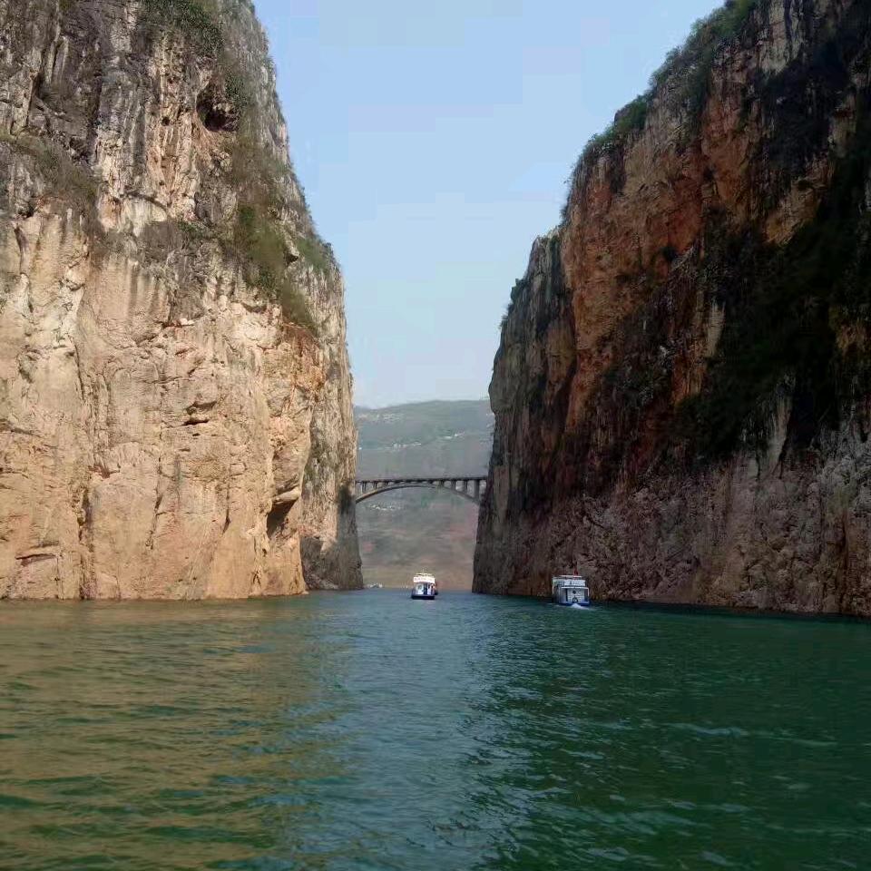 莉
