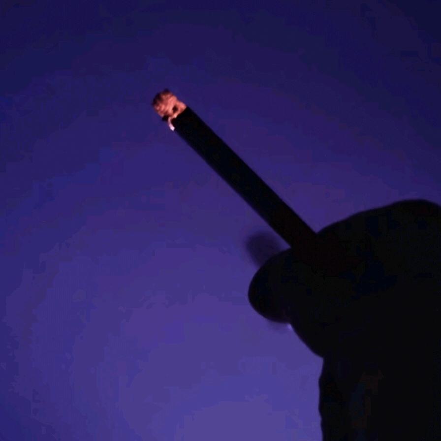 李子树 ↹ ⑤②👌