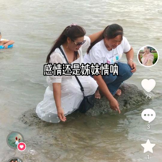 枫叶
