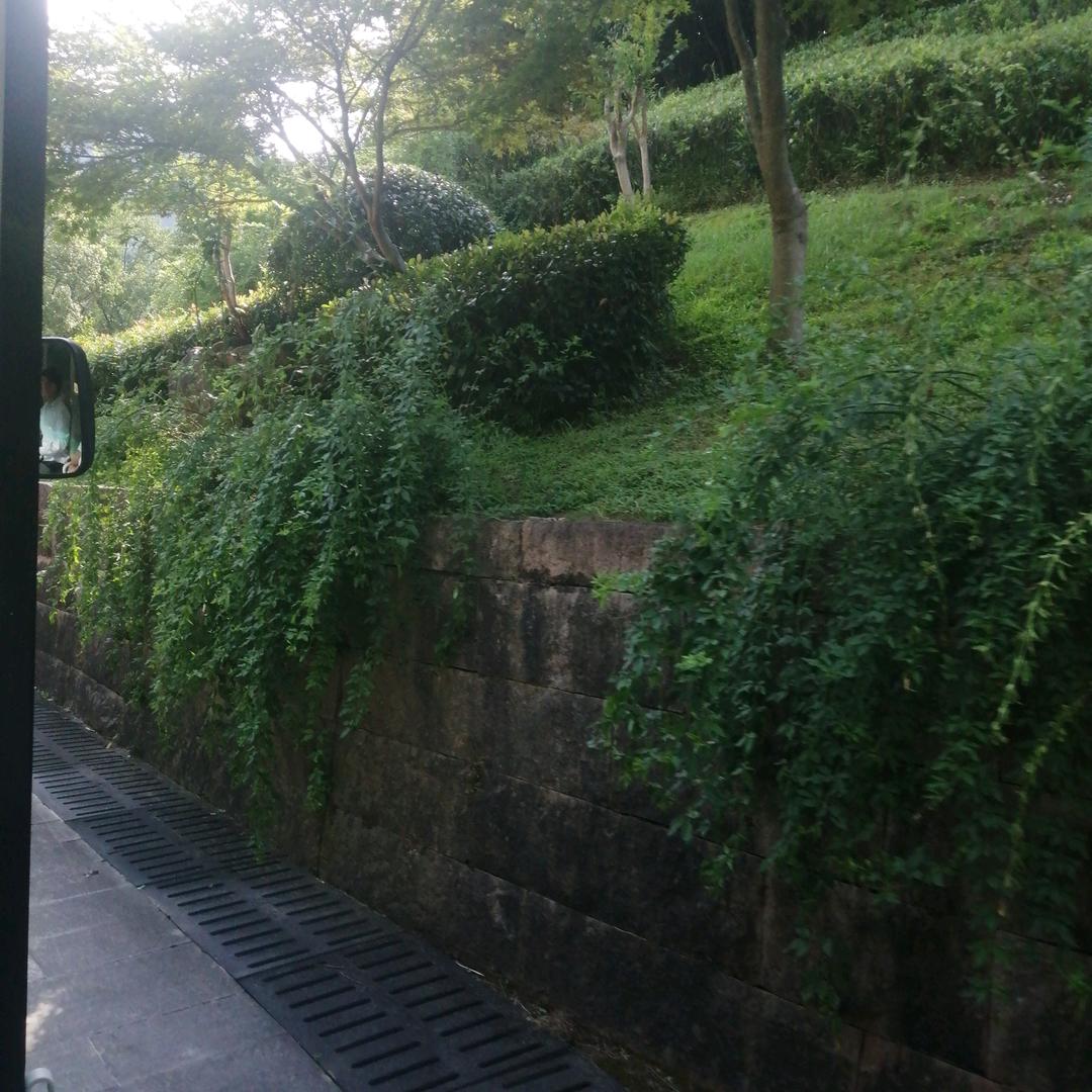 我爱我家😁😁