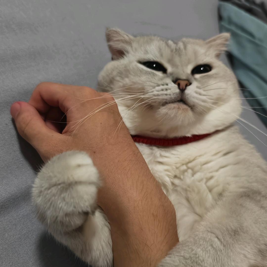 Zzz