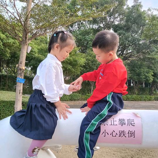 井冈情