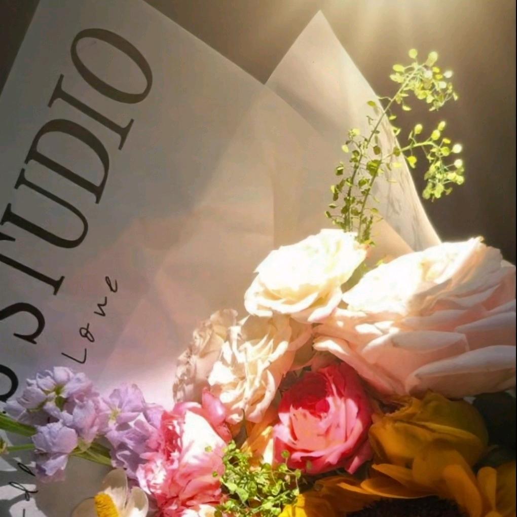 灰墙缝里的向日葵🌻