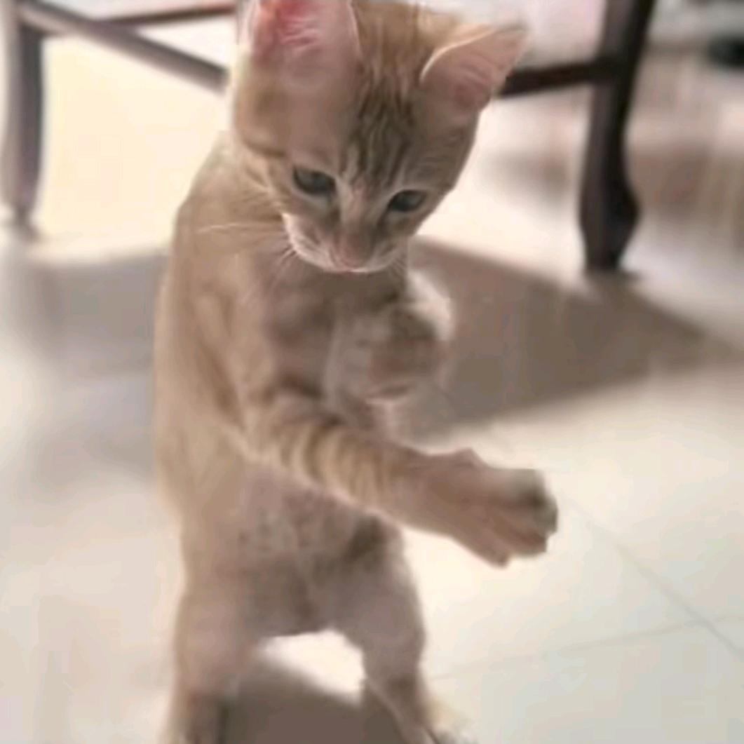 一天咸鱼