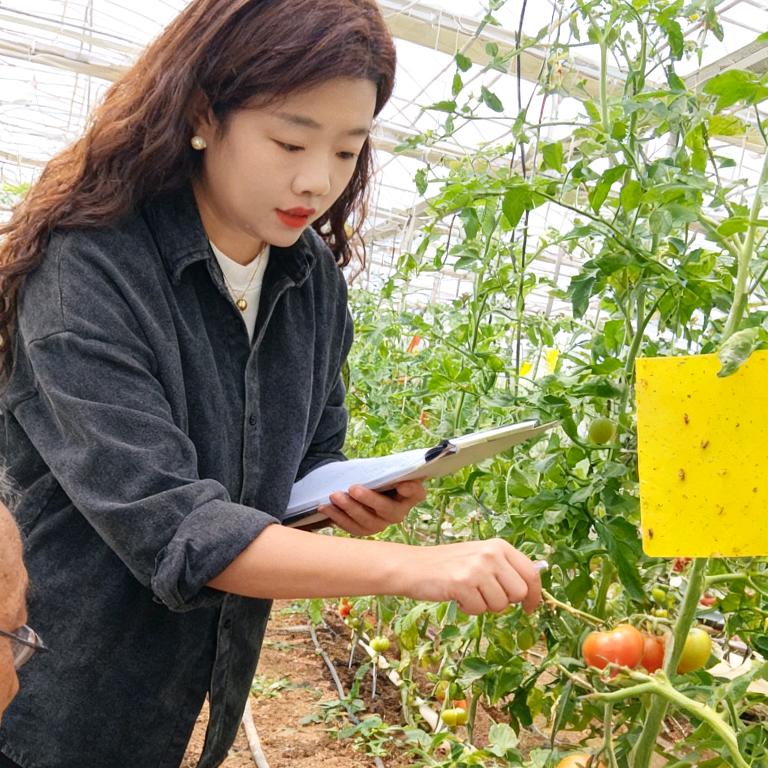 凯赛诺-林林教你种好地