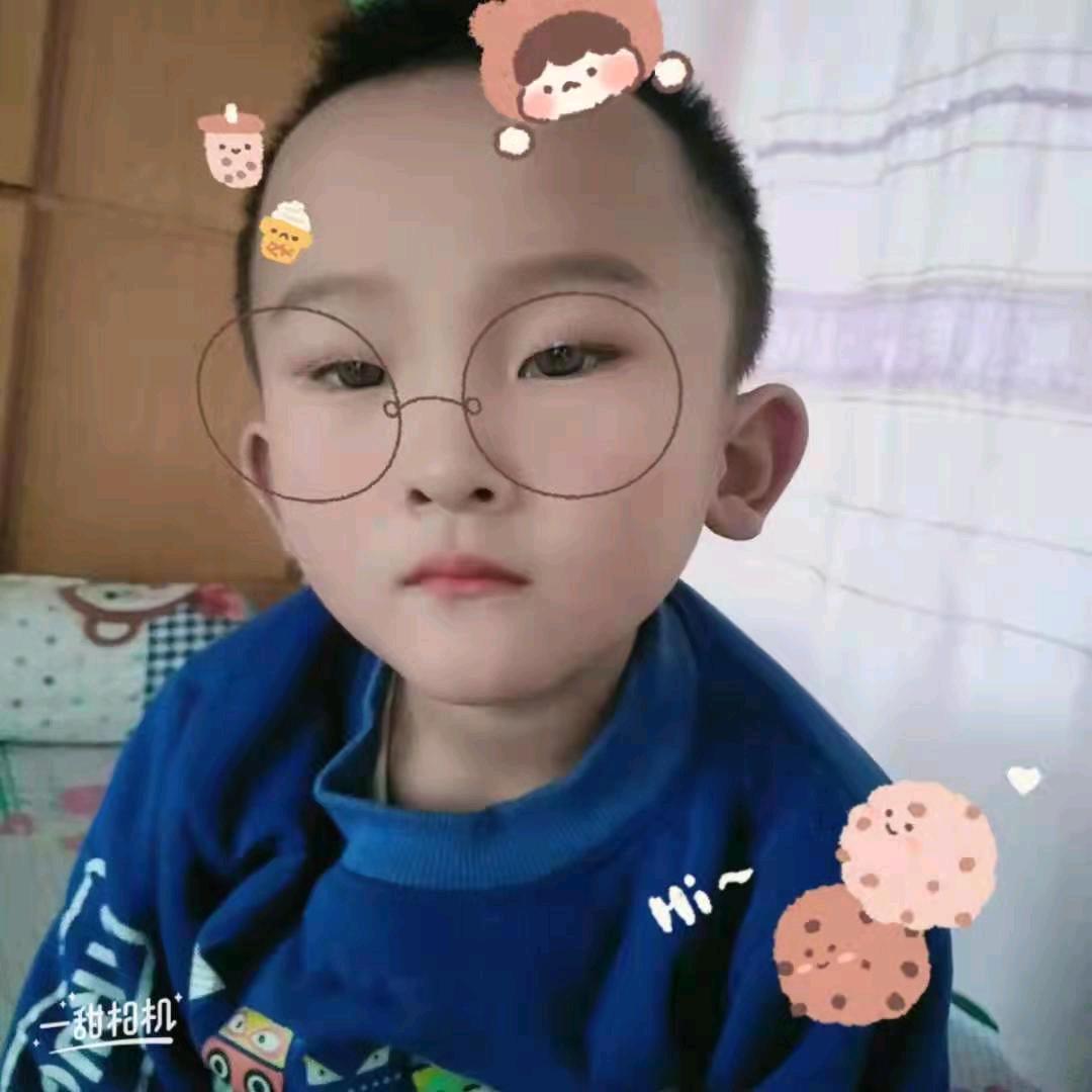 哈基鼠