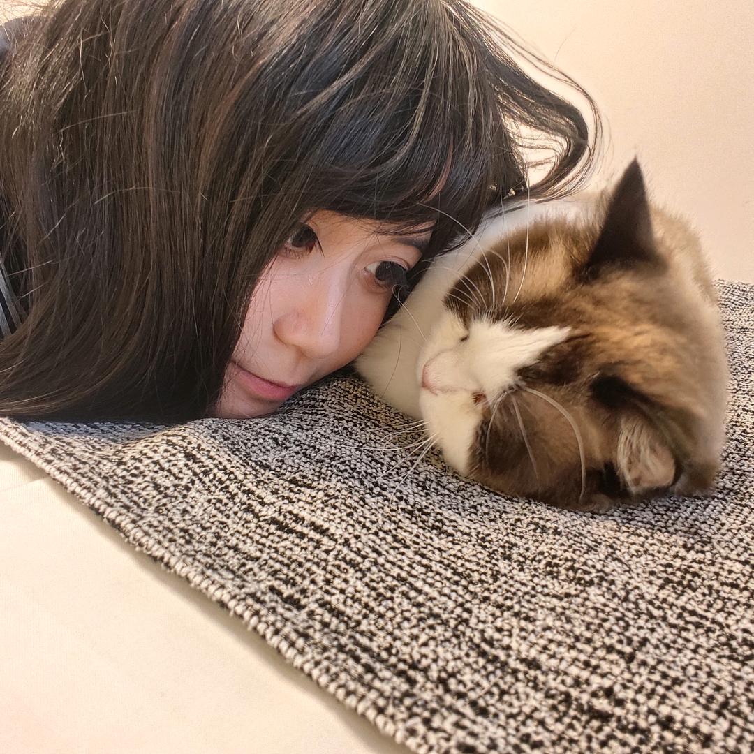 pp猫