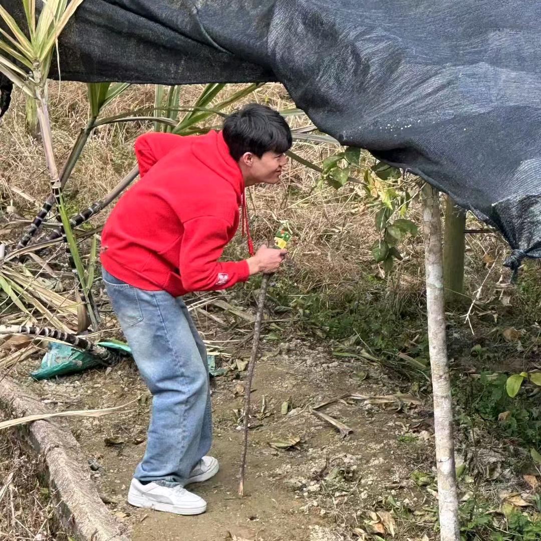 别华走呀