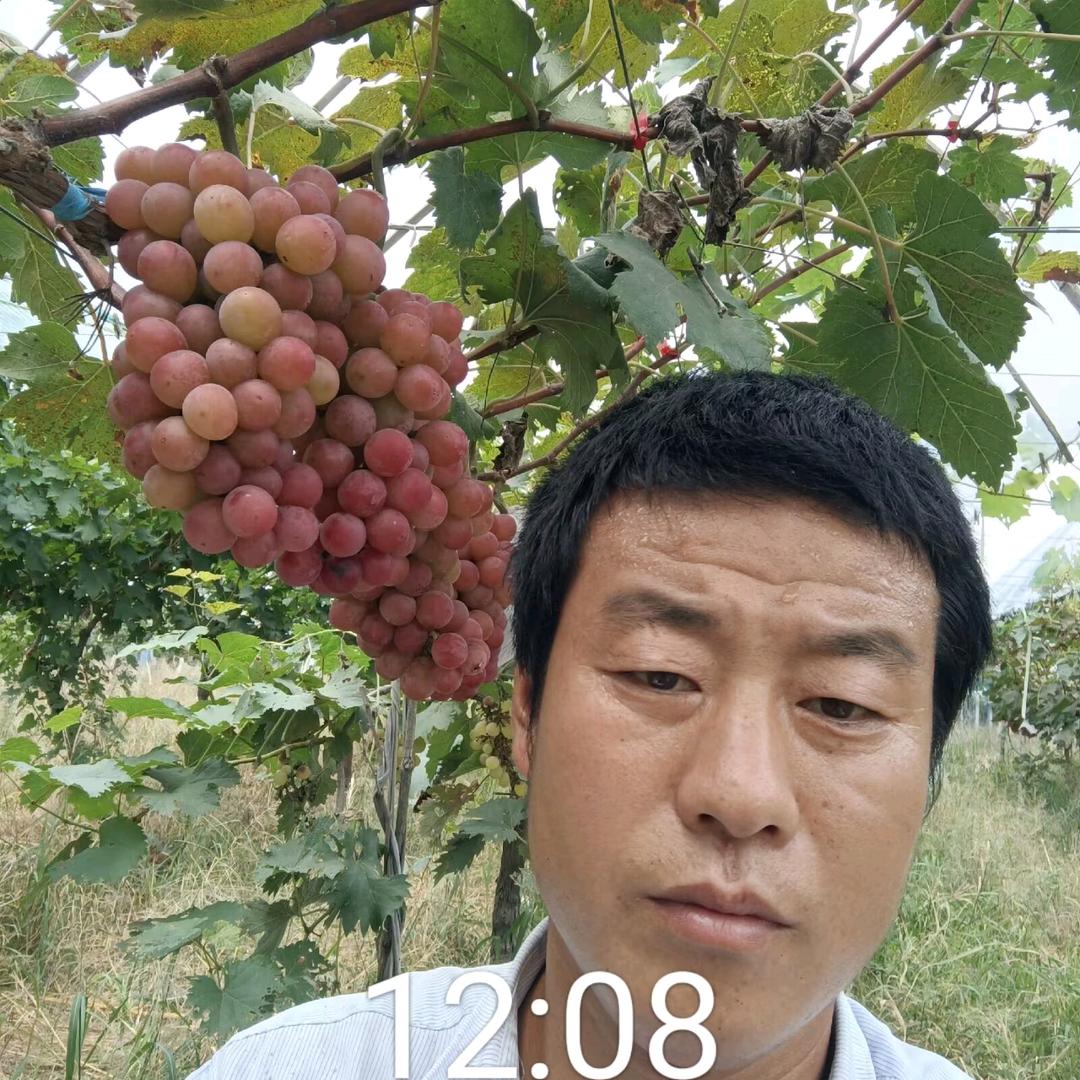 欣源葡萄家庭农场