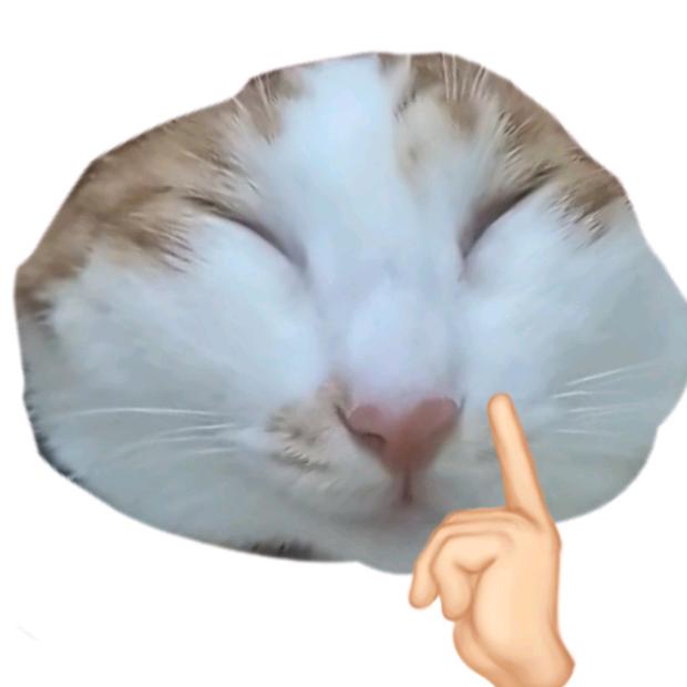 辣条公主两只猫（挠猫达人）
