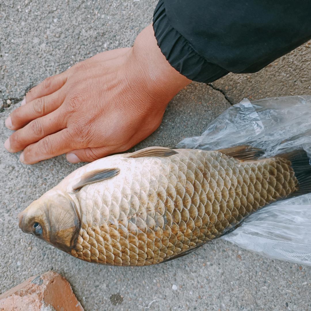 野钓超人