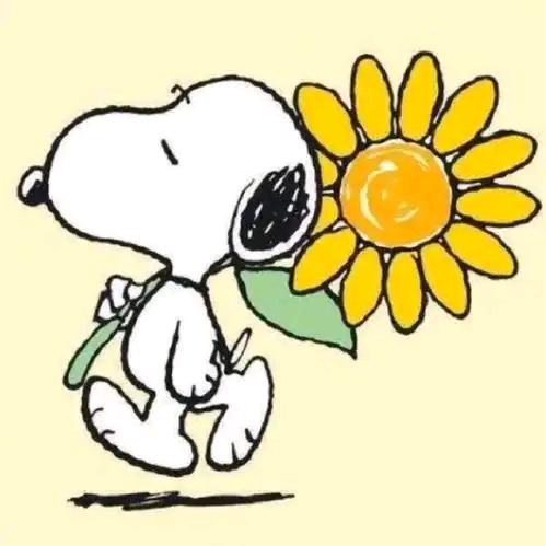 史努比ོᩚᩚ⛇☃︎ ʸ