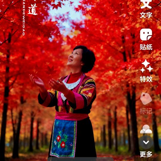 重新开始永远幸福，把一切烦恼丢开去