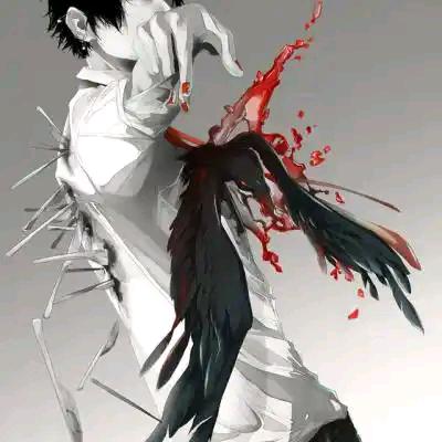 是少帅呀