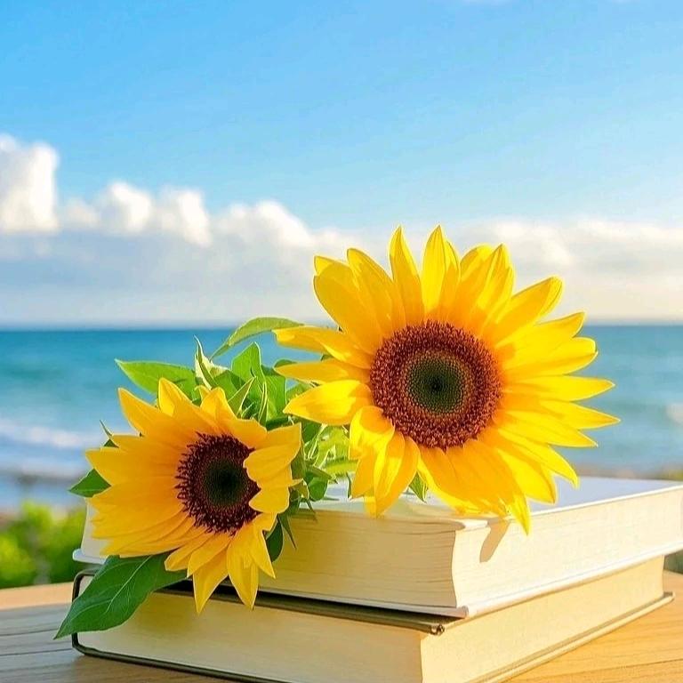 ˗ˋˏ꒰ঌ 清筱 ໒꒱ྀིˎˊ˗