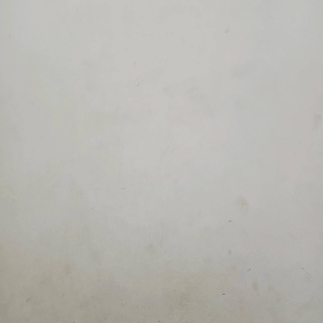 独领风骚