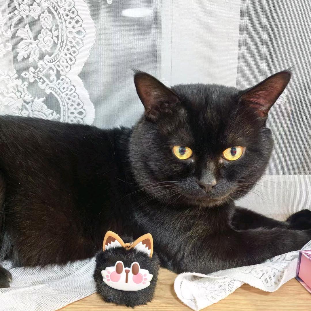 长安十二时辰的荔枝