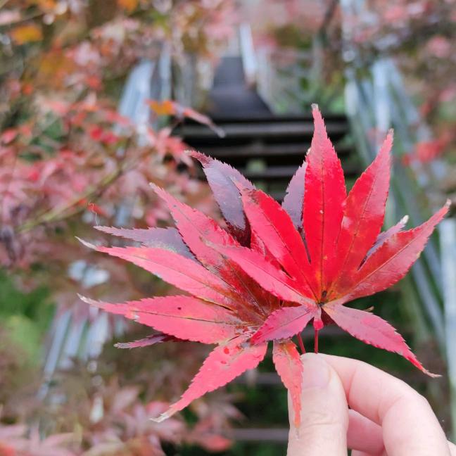 不知道取什么名字