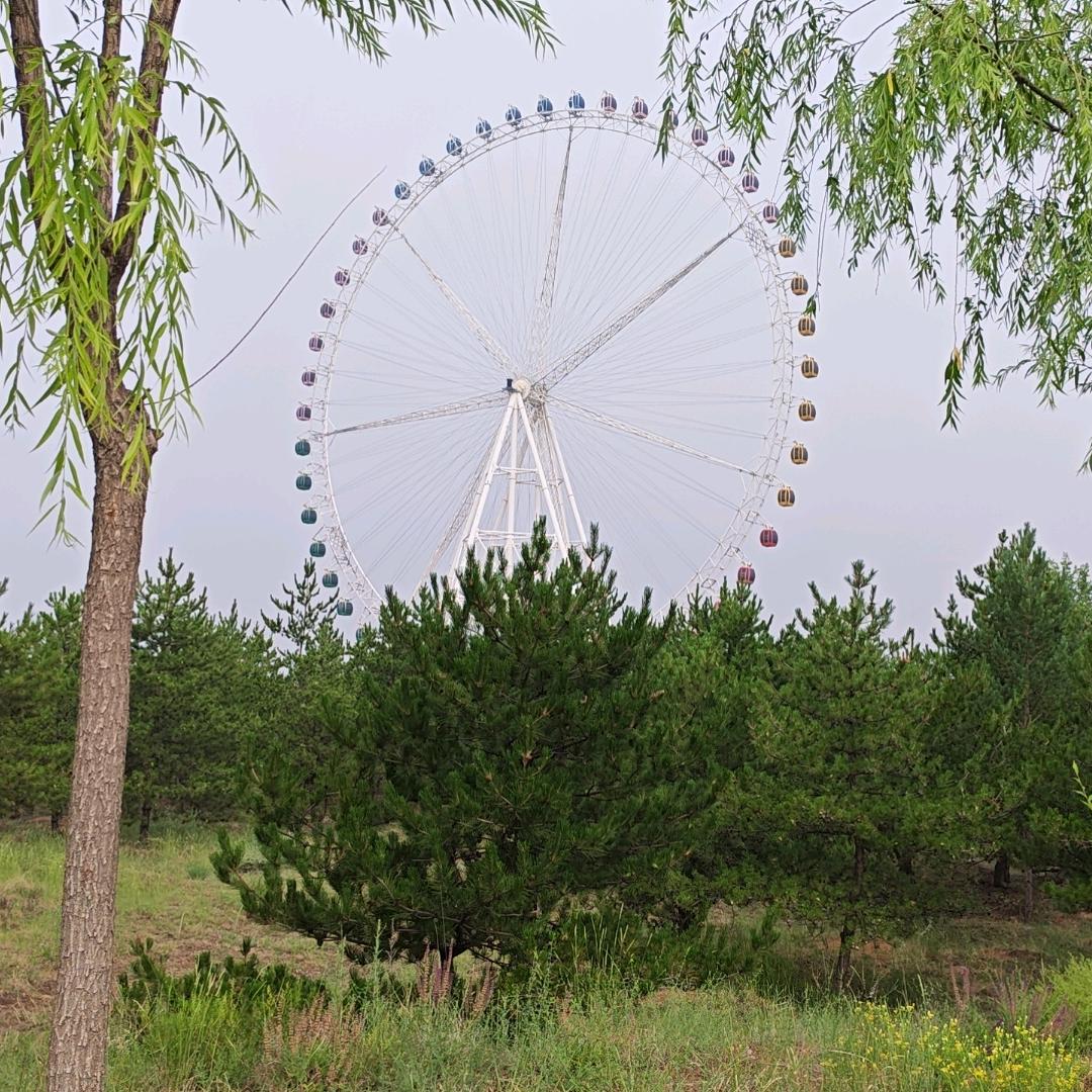 蒙K～大犇