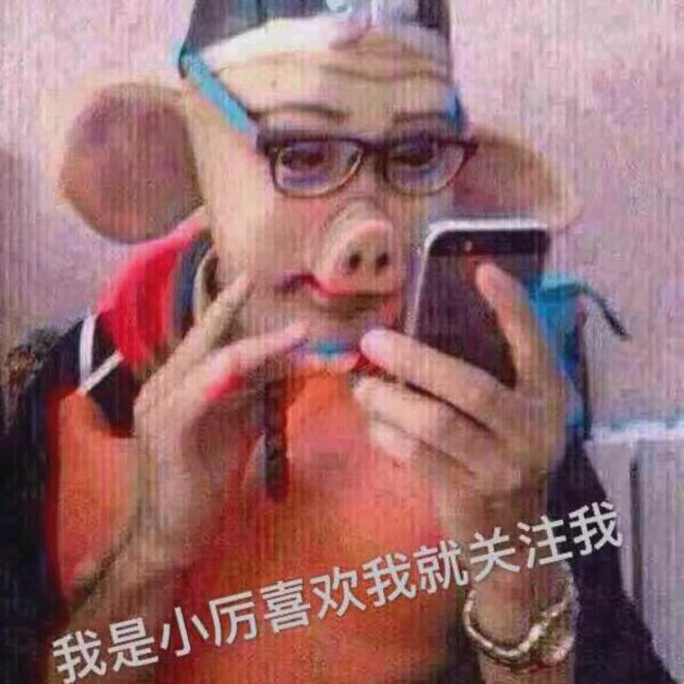 我是小厉