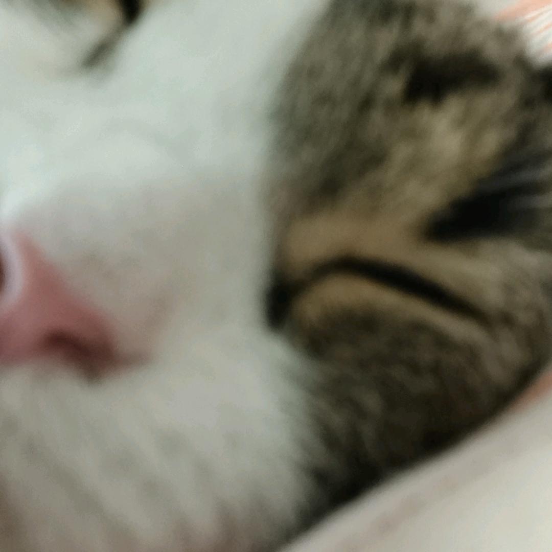 胡萝贝贝𒀱𒀱𒀱𒀱𒀱𒀱𒀱