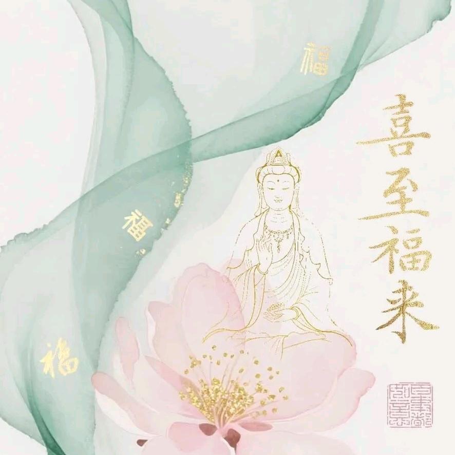 静读浮生