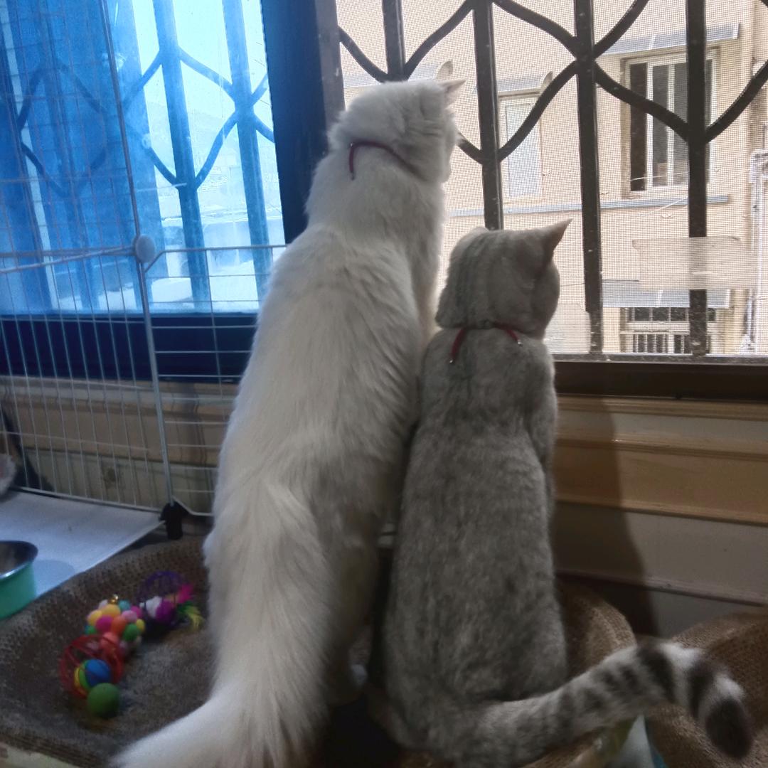 倩姐