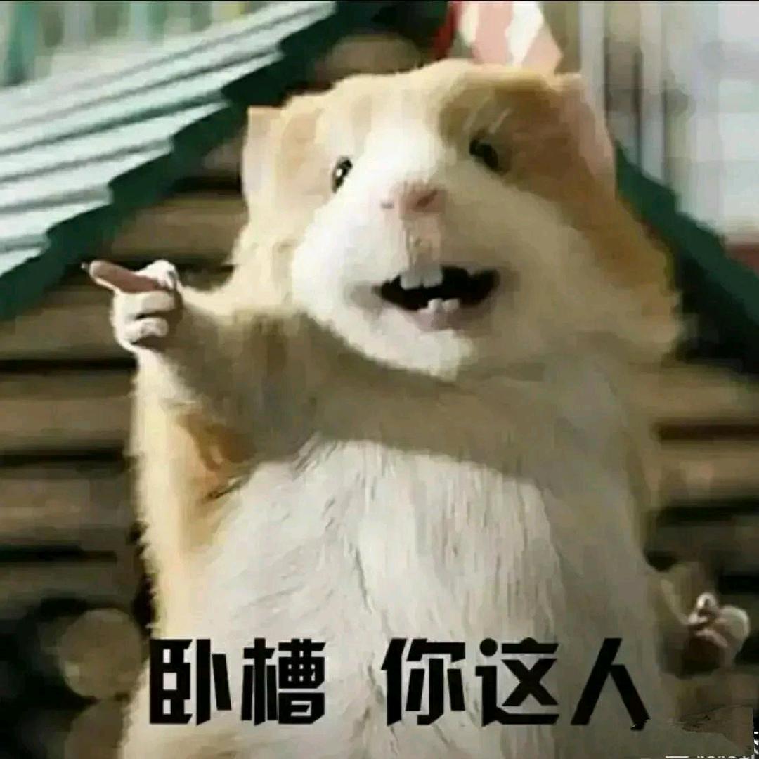 洛尘