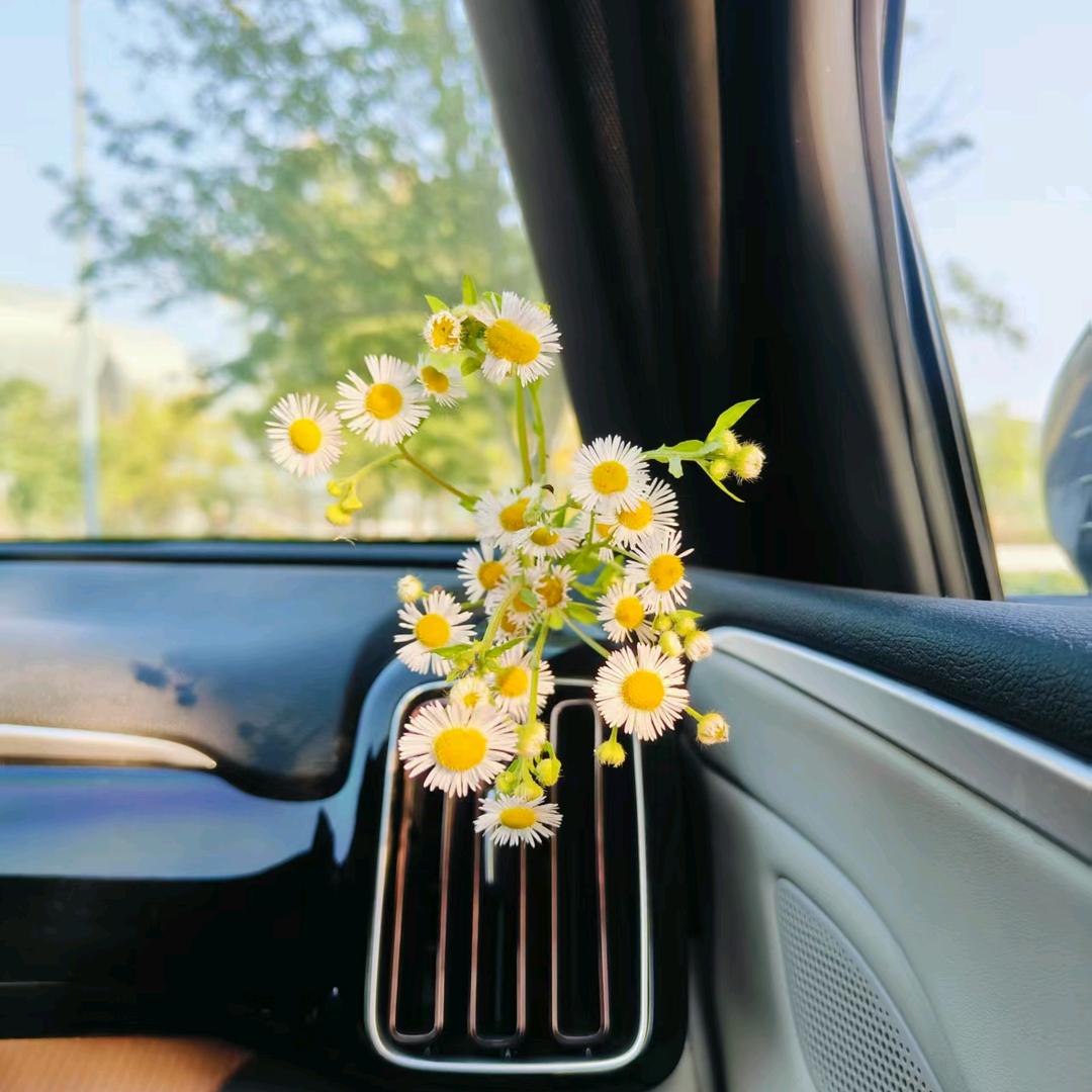 手机用户24977106553