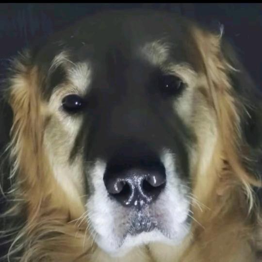 超级无敌可爱的大墩墩