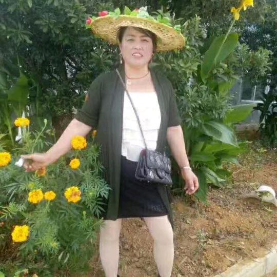 青山花灯