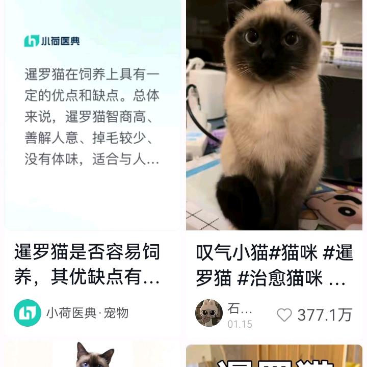 解压大合唱
